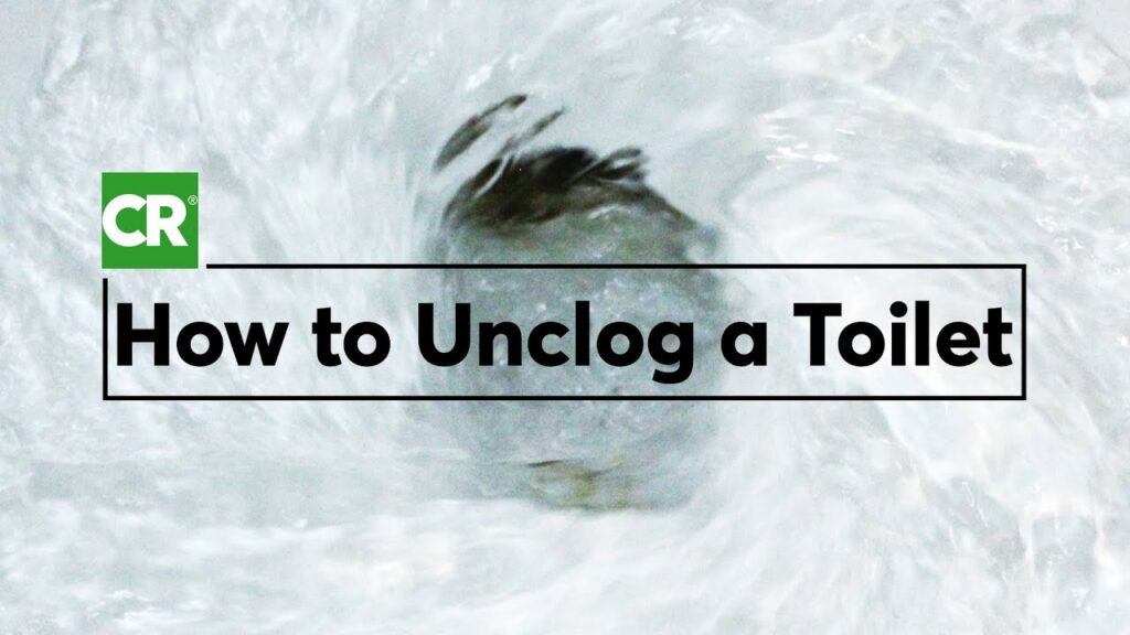How to Unclog a Toilet the Right Way | Consumer Reports 1