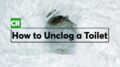 How To Unclog A Toilet The Right Way | Consumer Reports 7