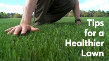 Do This For A Healthier Lawn | Consumer Reports 29