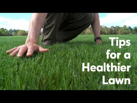 Do This For A Healthier Lawn | Consumer Reports 1