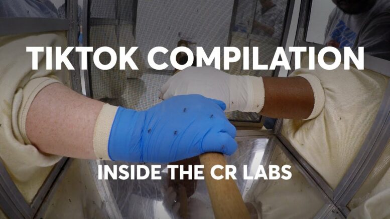 Tiktok Compilation: Inside The Cr Labs 1