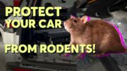 How To Protect Your Car From Rodents | Consumer Reports 5