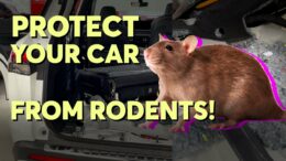 How To Protect Your Car From Rodents | Consumer Reports 8