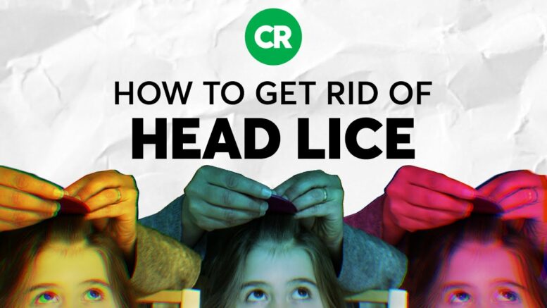 How To Get Rid Of Head Lice | Consumer Reports 1