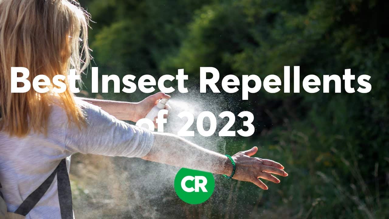 CR's Best Insect Repellents of 2023 Consumer Reports Easy & Painless Login For Consumer