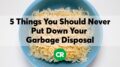5 Things You Should Never Put Down Your Garbage Disposal 31