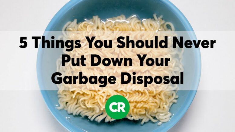 5 Things You Should Never Put Down Your Garbage Disposal 1