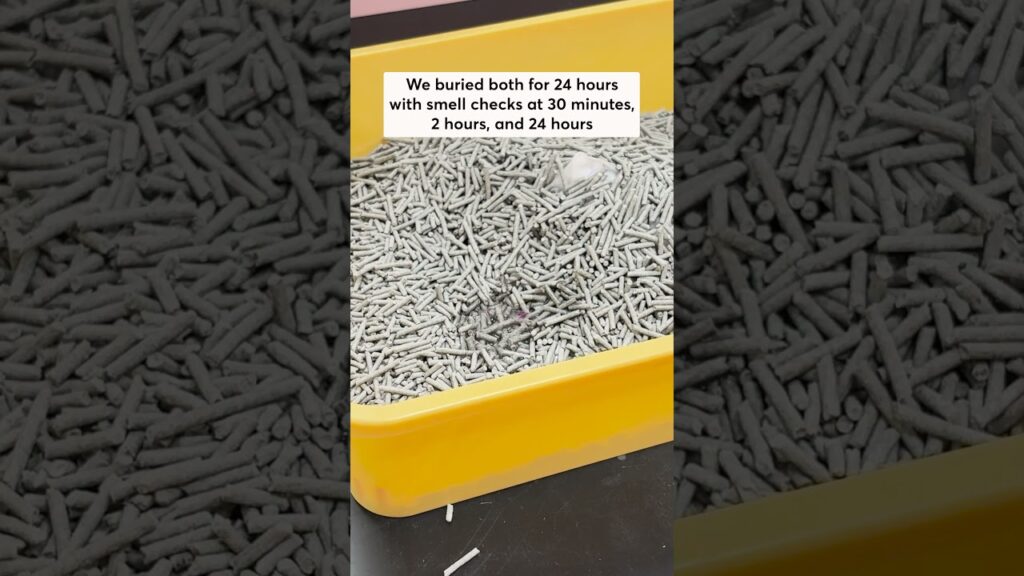 Ever wondered how well kitty litters can mask odors? We put them to the test with onion juice! 1