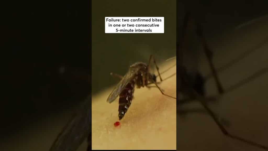 Worst Insect Repellents from Our Tests 1