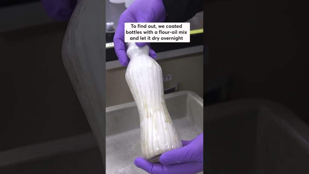 Which Bottle Brush Cleans Best? 2 Which Bottle Brush Cleans Best? 1