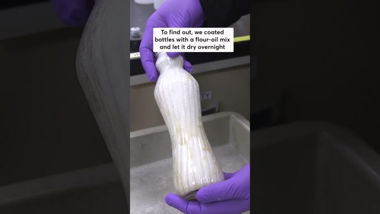 Which Bottle Brush Cleans Best? 1